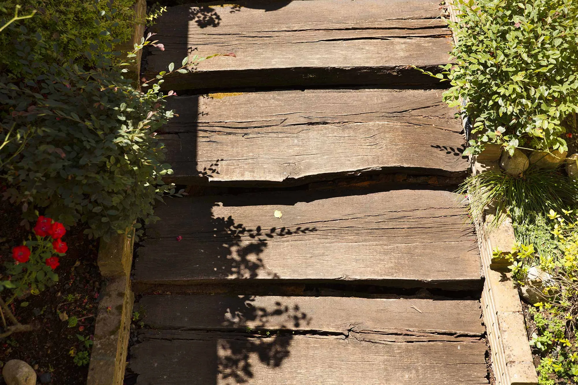 Camminamento in tavole di legno in un giardino