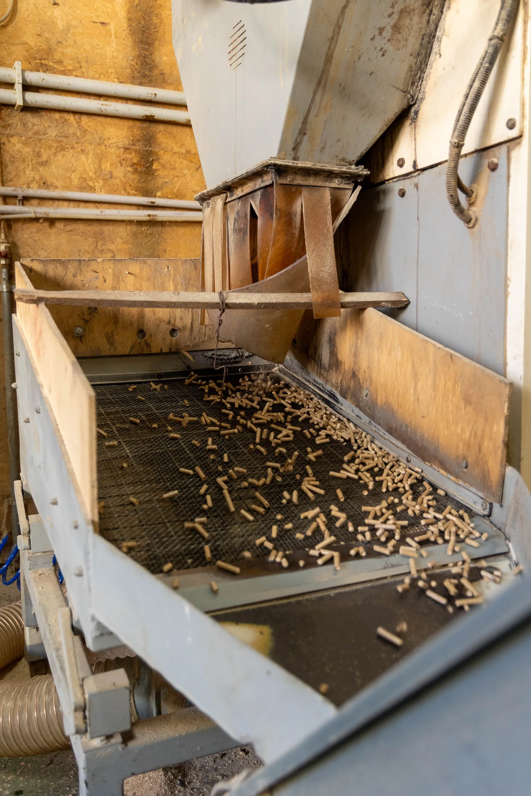 Pellet di legno in lavorazione sulla linea di produzione
